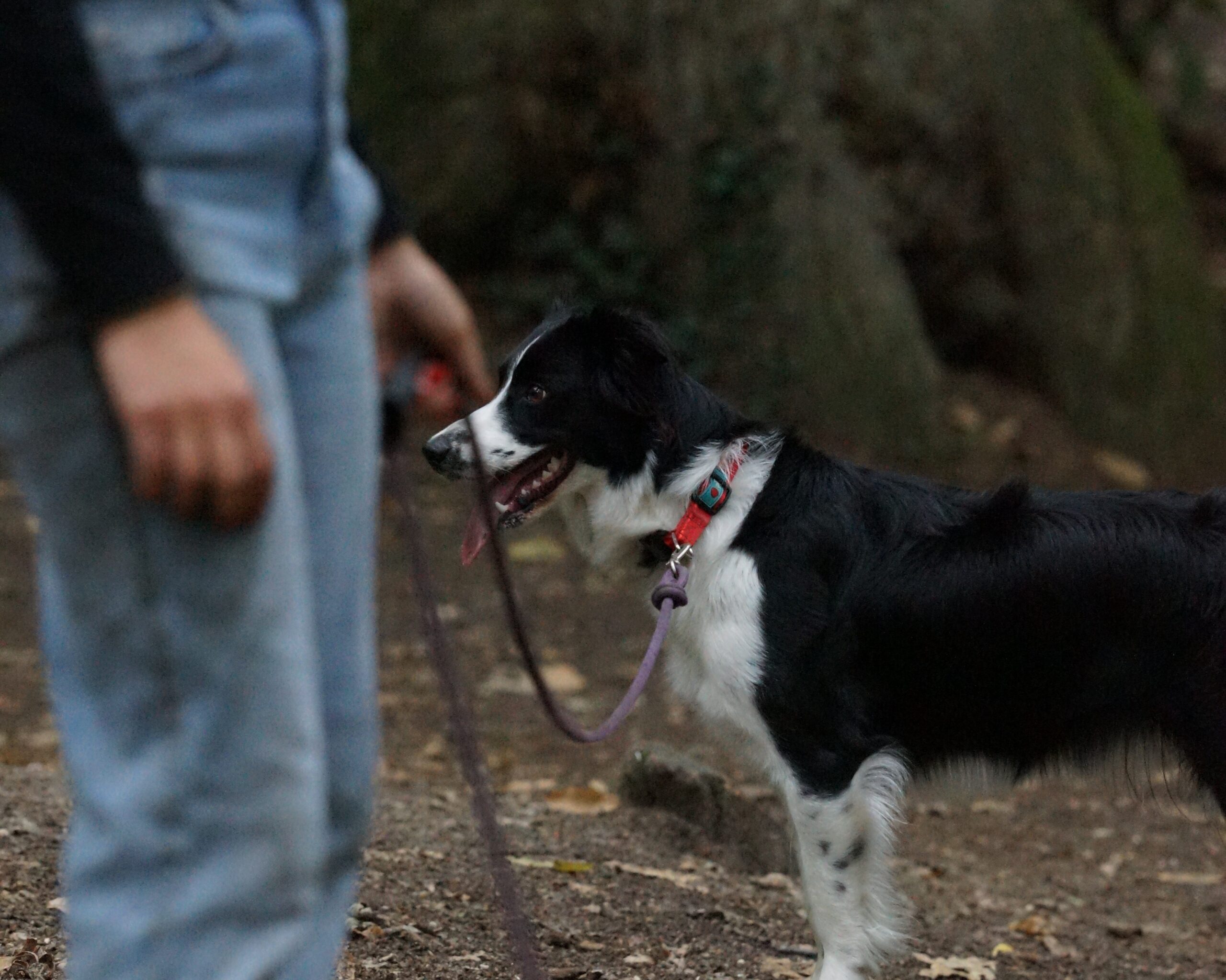 Seance personnalisée