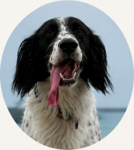 Achille